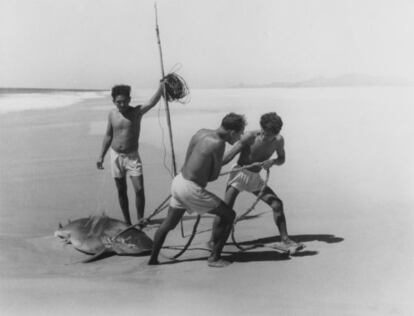 'Tiburoneros', de 1950.