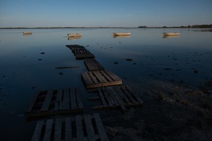 Laguna de Lobos, provincia de Buenos Aires, Argentina