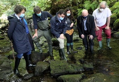 El conselleiro de Cultura, Román Rodríguez, y miembros de Apatrigal observan la Virgen de la Leche en el río Sar antes de su retirada el pasado lunes.