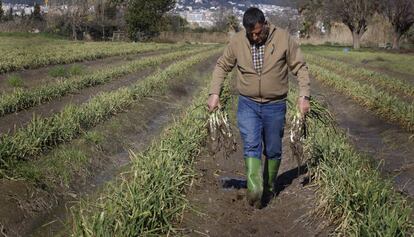 El agricultor Josep Pañella muestra sus campos llenos de barro tras el temporal.