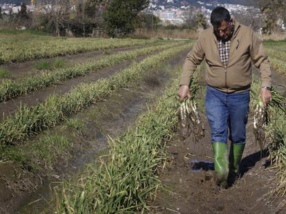 L'agricultor Josep Pañella mostra els seus camps plens de fang després del temporal.