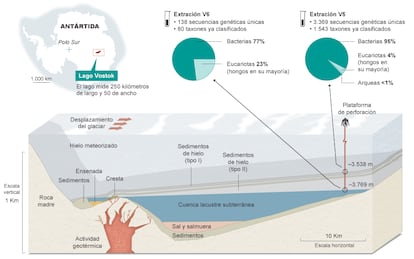 Fuente: Revista ‘Plos One’.