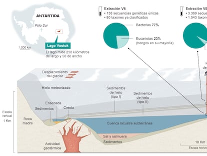 Fuente: Revista ‘Plos One’.