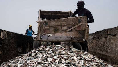 Entrega de pescado en una fábrica en Joal-Fadiouth (Senegal), al sureste de Dakar.