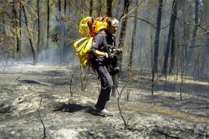 Un miembro del servicio de extinción de incendios lleva una manguera en medio del bosque quemado en Palau de Santa Eulàlia (Girona).