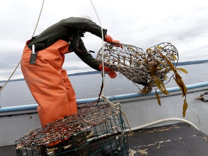 A man pulls a derelict crab pot aboard, June 12, 2014.