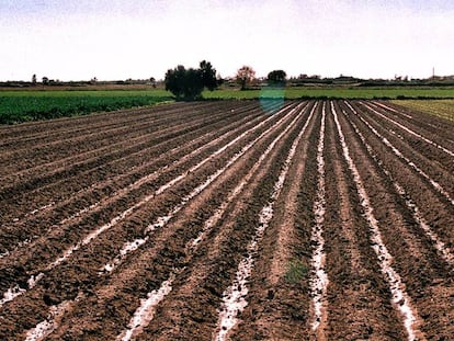 La cultura del foravila (el campo), el cultivar, la agricultura, tiene el manual de los tiempos, la lógica y las costumbres.