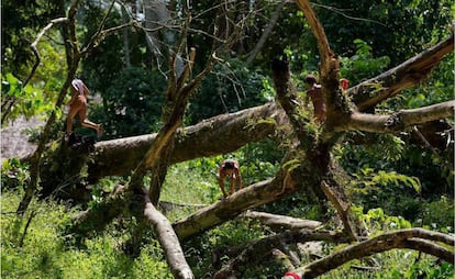 Crianças brincam em aldeia dentro da Terra Indígena Yanomami, onde vivem 25.000 índios