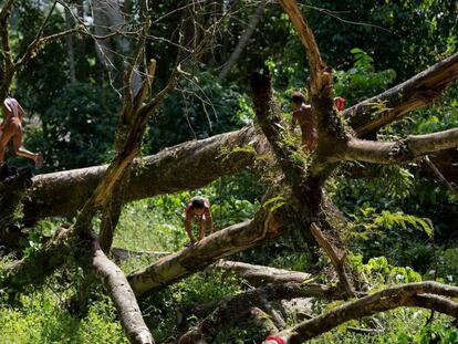 Crianças brincam em aldeia dentro da Terra Indígena Yanomami, onde vivem 25.000 índios