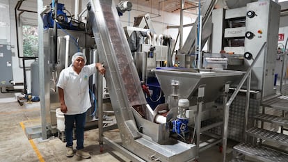 Un funcionario de la nueva planta de licor de cacao de propiedad de los indígenas q’eqchi.