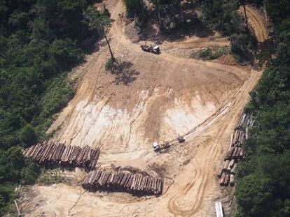 Vista de un área de tala de árboles en el Estado de Pará (Brasil), que forma parte de la Amazonia, captada por activistas de la ONG Greenpeace.