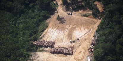 Vista de un área de tala de árboles en el Estado de Pará (Brasil), que forma parte de la Amazonia, captada por activistas de la ONG Greenpeace.
