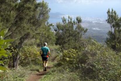 Rutas senderista en las cercanías de Teror, al norte de Gran Canaria.