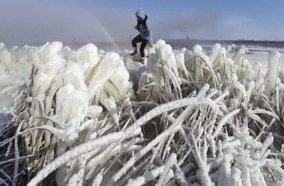 Una mujer camina a través de hierbas cubiertas de hielo, cerca de la ciudad de Rudensk (Bielorrusia).