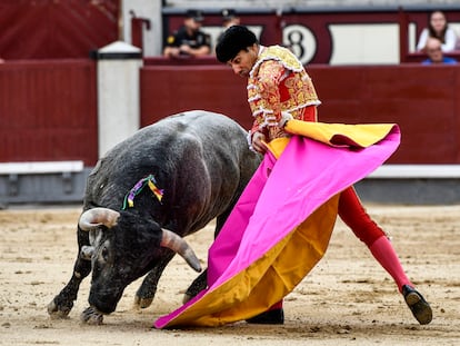 Media verónica de Gómez del Pilar al tercer toro, del hierro de Pallarés.