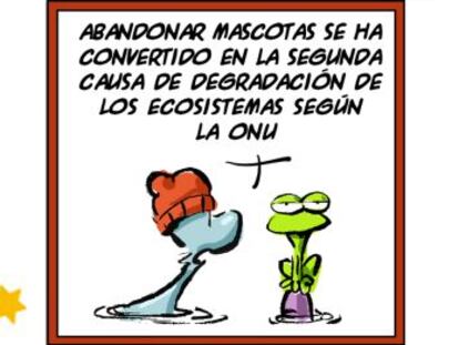 Ramón