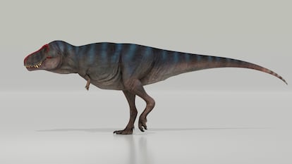Tyrannosaurus rex, in a modern reconstruction of how it must have moved.