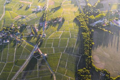 Además de 12 denominaciones de origen vinícolas, la región francesa de Beaujolais, con vistas a los Alpes, cuenta con valiosos tesoros geológicos y culturales. La Unesco también destaca cómo el patrimonio geológico de esta zona al noreste de Lyon ha ejercido y ejerce una influencia notable en los modos de vida y la cultura de sus habitantes. En la imagen, paisaje aéreo de viñedos en terrenos de Beaujolais. Más información: <a href="http://www.geopark-beaujolais.com/" target="">www.geopark-beaujolais.com</a>