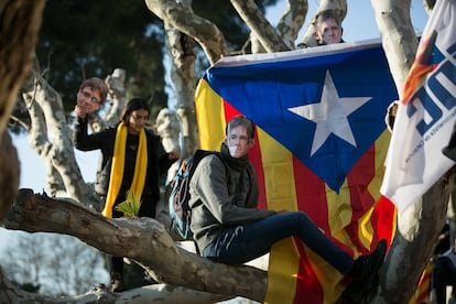 Manifestantes pró-independência com máscaras de Puigdemont sobem em uma árvore durante os protestos contra o adiamento da cerimônia de posse.