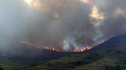 Incendio forestal en el sierra de Tivisa de hace quince d&iacute;a y que quem&oacute; 800 hect&aacute;reas.