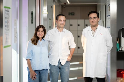 Tumor cerebral resistencia tratamientos Lucía García