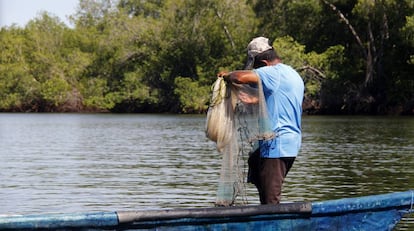 Un pescador realiza sus actividades en las aguas del Canal de Chiquimulilla, en la comunidad de Las Lisas, en la costa del Pacífico guatemalteco.