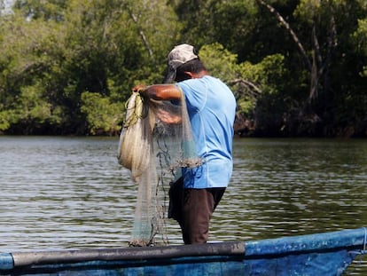 Un pescador realiza sus actividades en las aguas del Canal de Chiquimulilla, en la comunidad de Las Lisas, en la costa del Pacífico guatemalteco.