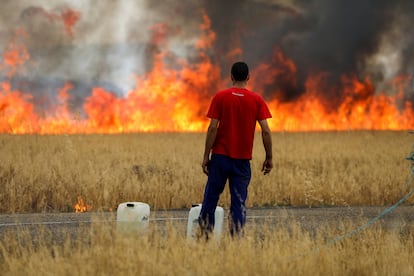 Un pastor observa un incendio que quema un campo de trigo entre Tábara y Losacio, este lunes.