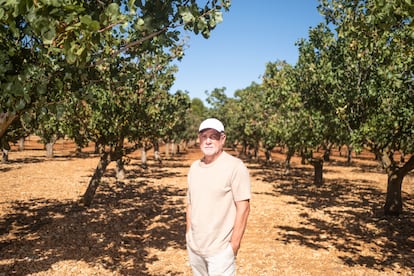 José Francisco Couceiro, pistachio