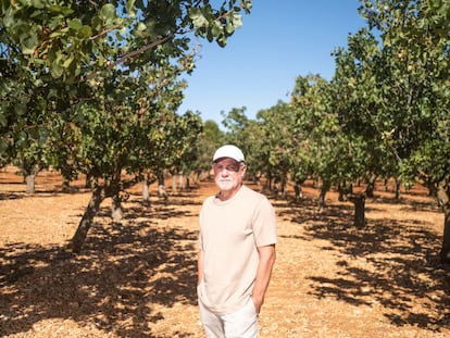 José Francisco Couceiro, junto a los primeros pistacheros que plantó en 1987 en una finca experimental del centro El Chaparrillo, en Ciudad Real.