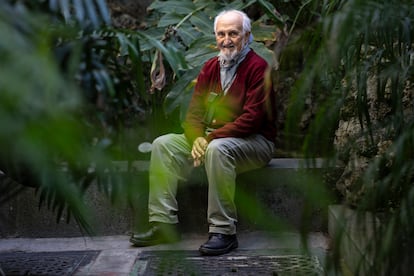 Esquinas, en uno de los invernaderos del Real Jardín Botánico-CSIC de Madrid. 