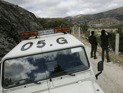 Patrulla de agentes forestales de la Comunidad en Bustarviejo.