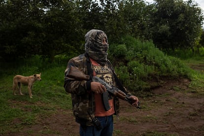 Un miembro armado del grupo de autodefensas 'Pueblos Unidos' vigila una huerta de aguacate en Ario de Rosales (Michoacán), en julio de 2021. 