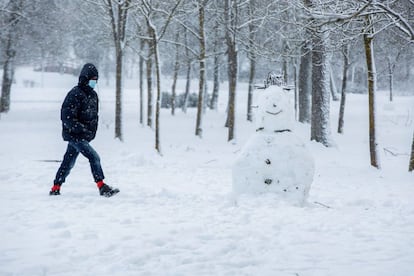 Un hombre pasea por la nieve en un parque del sur de Vitoria, este lunes en el que se mantiene activada la alerta amarilla por nevadas a partir de 400 metros de altitud.