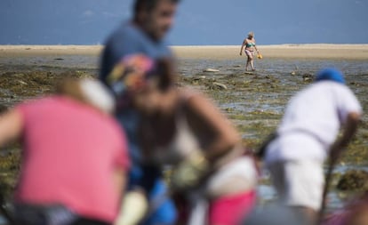 Una ba&ntilde;ista y mariscadores, ayer en el arenal de Vilanova de Arousa (Pontevedra).