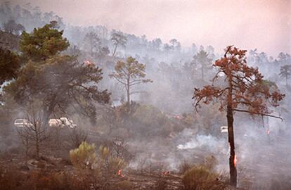 Vehículos del equipo de extinción de incendios tratan de sofocar el incendio de 120 hectáreas en Valdequemada.