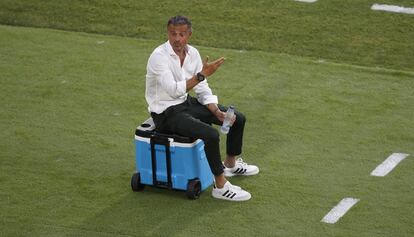 Luis Enrique, durante el España-Suecia.