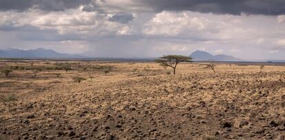 El condado de Isiolo, en el centro de Kenia, es uno de los 23 que componen las llamadas tierras áridas y semiáridas del país, en la mitad norte y este. Estas han sido las más impactadas por la sequía que también afecta a Somalia, Eritrea y Etiopía. Tres estaciones secas consecutivas han llevado a una grave escasez de agua, matando ganado y cultivos, desplazando poblaciones y aumentando el riesgo de enfermedades y desnutrición severa.