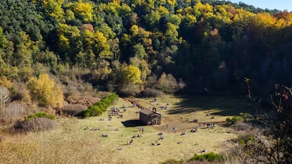 Volcán de Santa Margarida en La Garrotxa. Olot, Girona