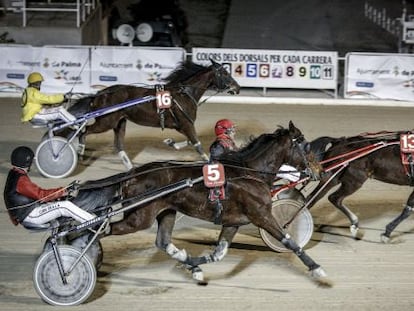 A race at Son Pardo Hippodrome in Palma de Mallorca in 2013.