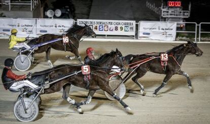 A race at Son Pardo Hippodrome in Palma de Mallorca in 2013.