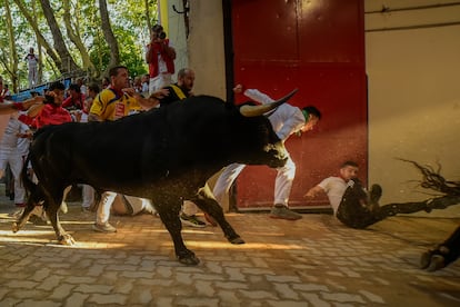 Uno de los astados a su llegada a la plaza de toros de Pamplona. 