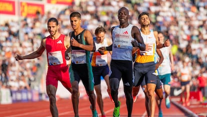 Attaoui, segundo por la izquierda, al final de los de 800m.