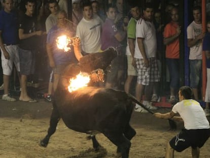 Imatge d'arxiu d'un toro embolat a Nules (Castelló).