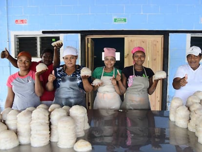 Un grupo de mujeres indígenas de La Muskitia muestra las medusas que procesa para luego ser vendidas.