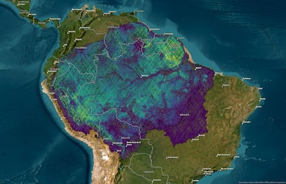 Mapa de la biomasa de la Amazonia según las mediciones de la misión GEDI.
