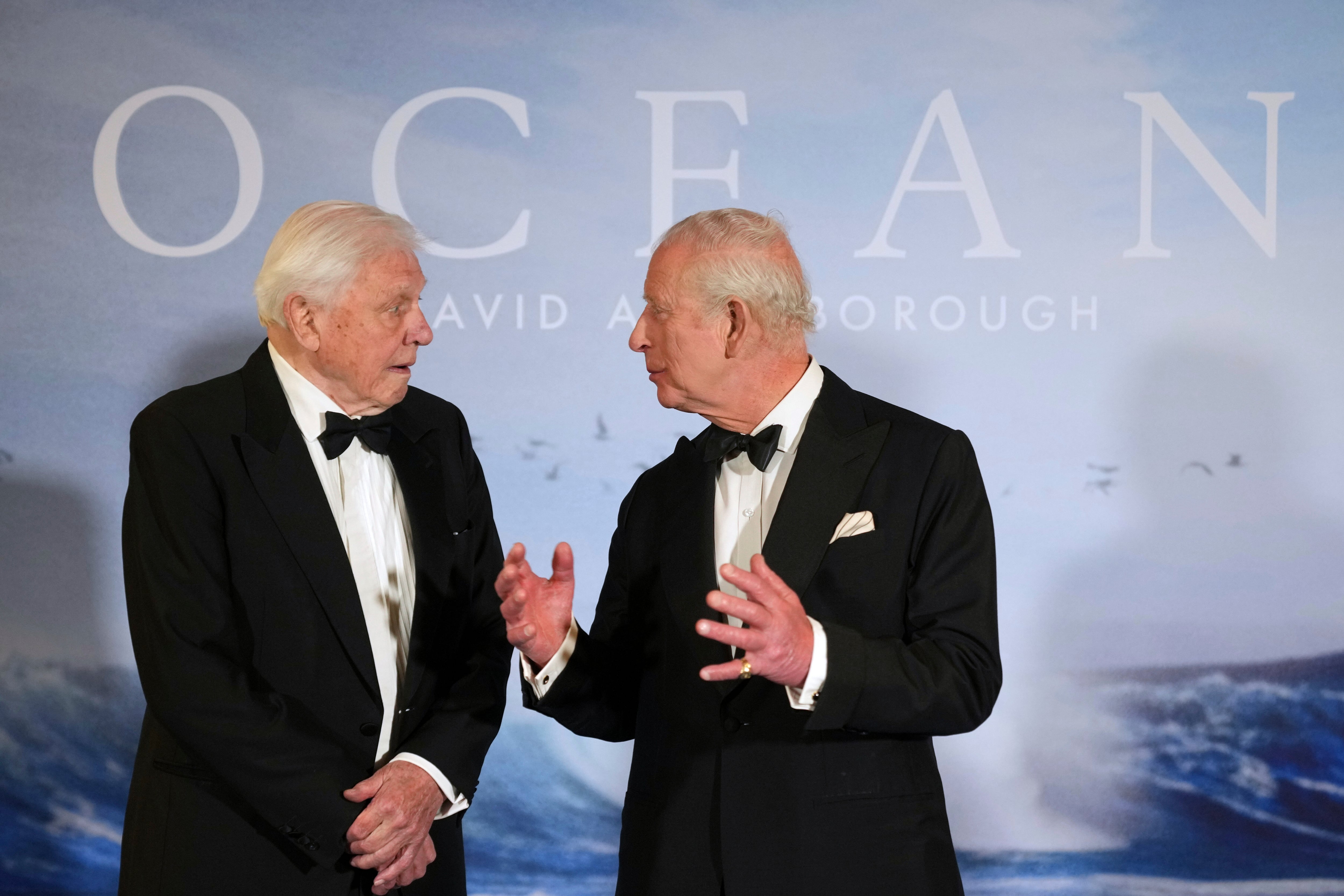 El grito más político y desgarrador de David Attenborough para salvar los océanos