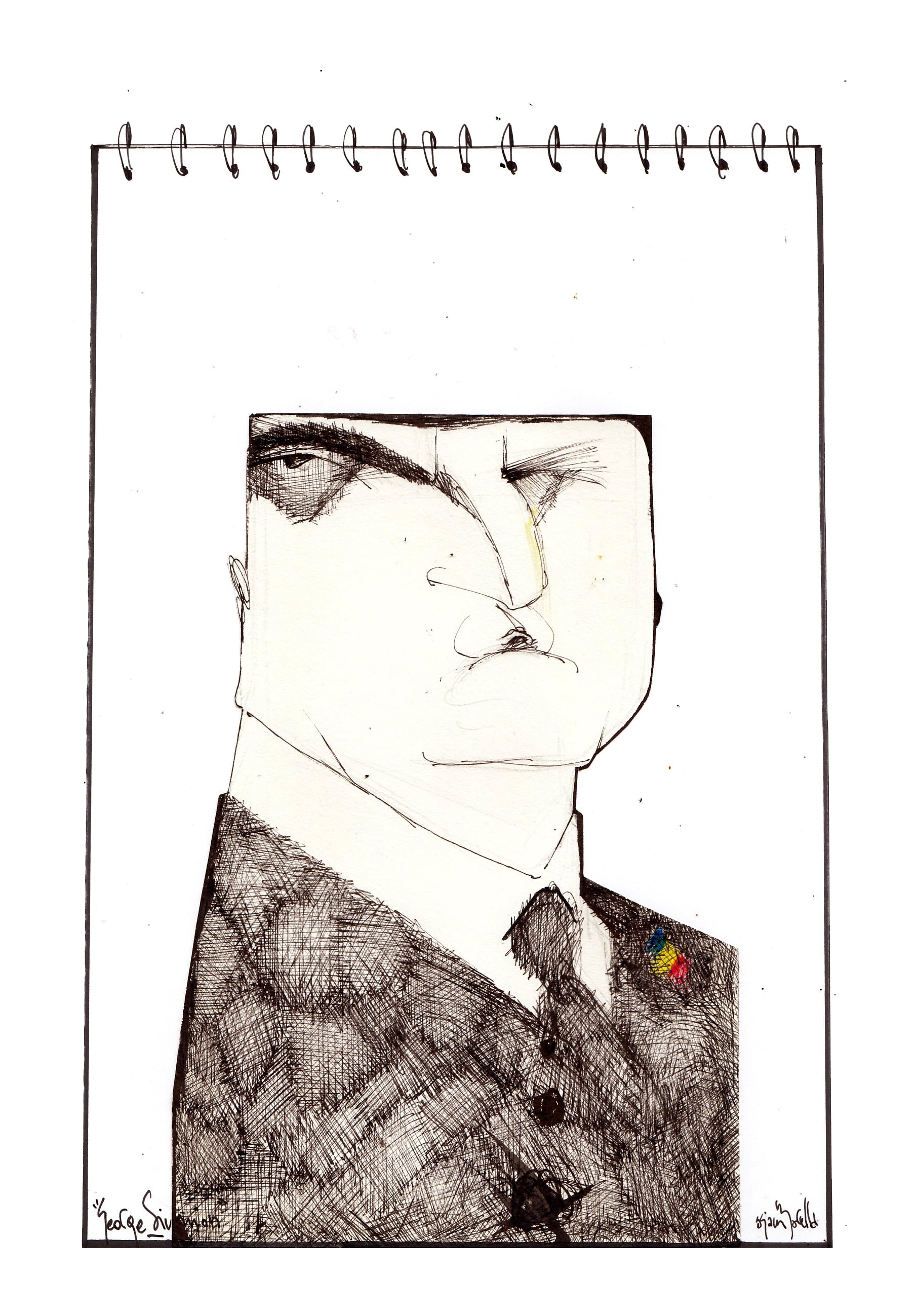 Sciammarella: George Simion