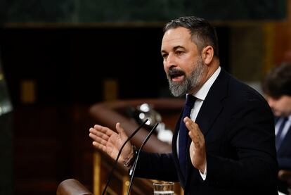 Santiago Abascal, este miércoles en el pleno de Congreso.