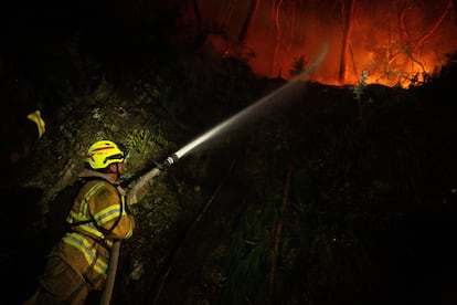 Firefighters work to extinguish a forest fire on a hill in Bogota, Colombia January 24, 2024